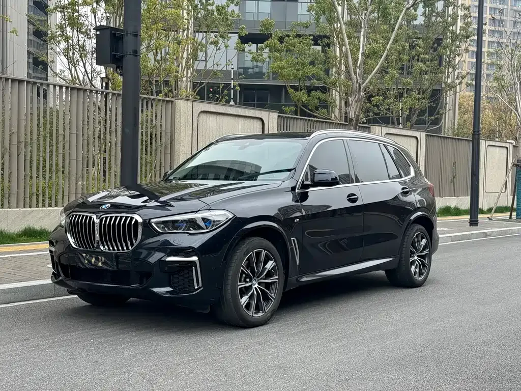 BMW X5 2022 из CN, фото 1