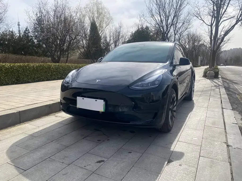 Tesla Model Y — фото 1