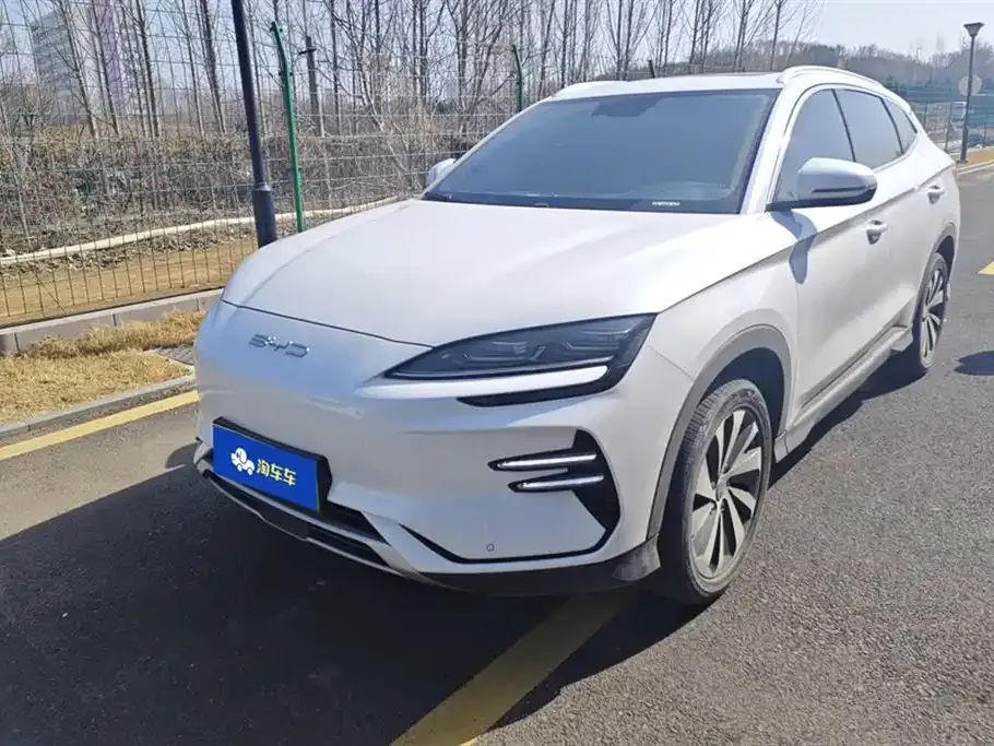 BYD PLUS New Energy 2024 из CN, фото 1