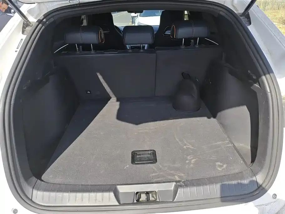 BYD PLUS New Energy 2024 из CN, фото 7