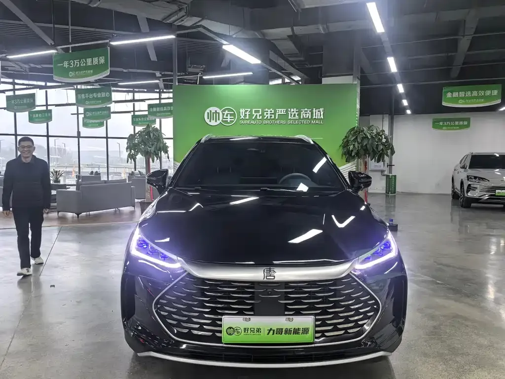 BYD Tang New Energy — фото 4
