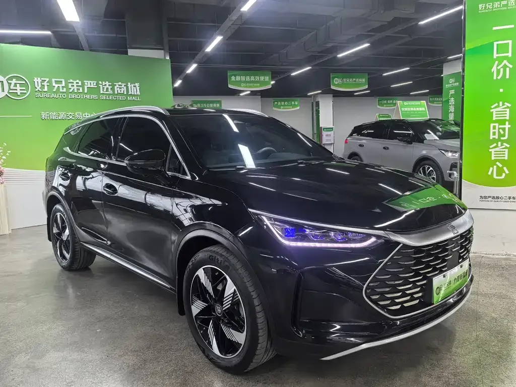 BYD Tang New Energy — фото 2