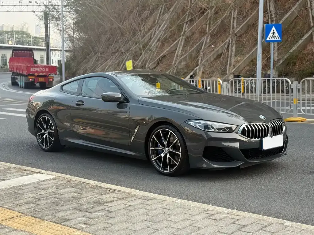 BMW 8 Series 2022 из CN, фото 9