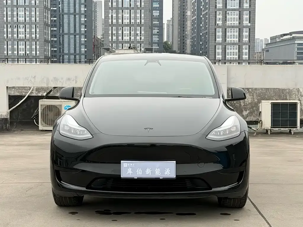 Tesla Model Y — фото 8