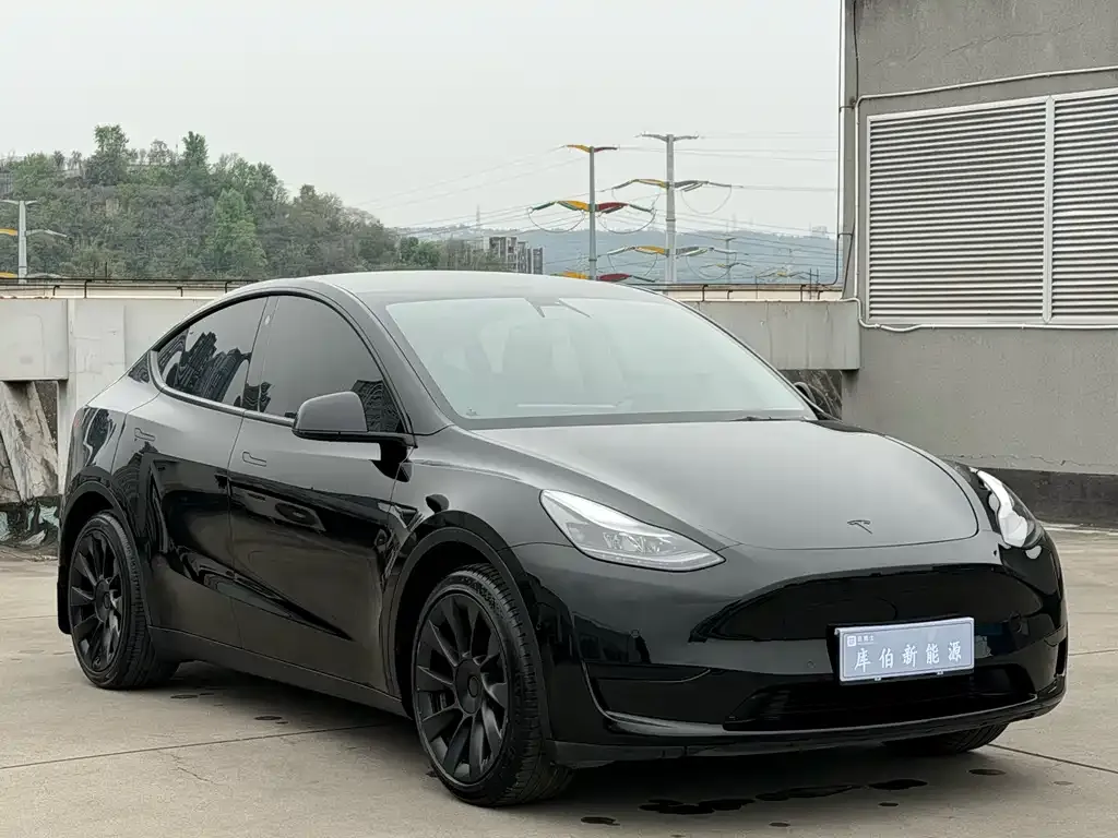 Tesla Model Y — фото 10