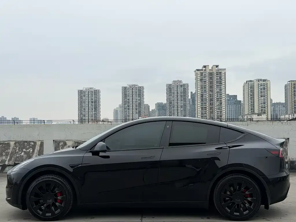 Tesla Model Y — фото 3