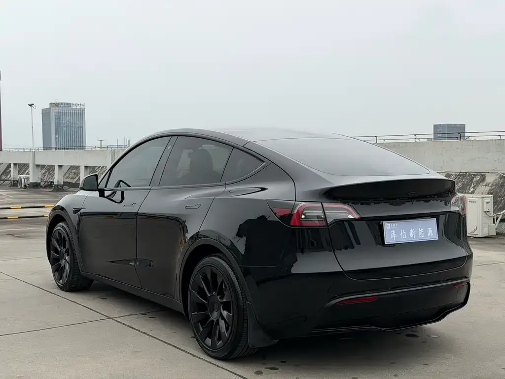 Tesla Model Y — фото 6
