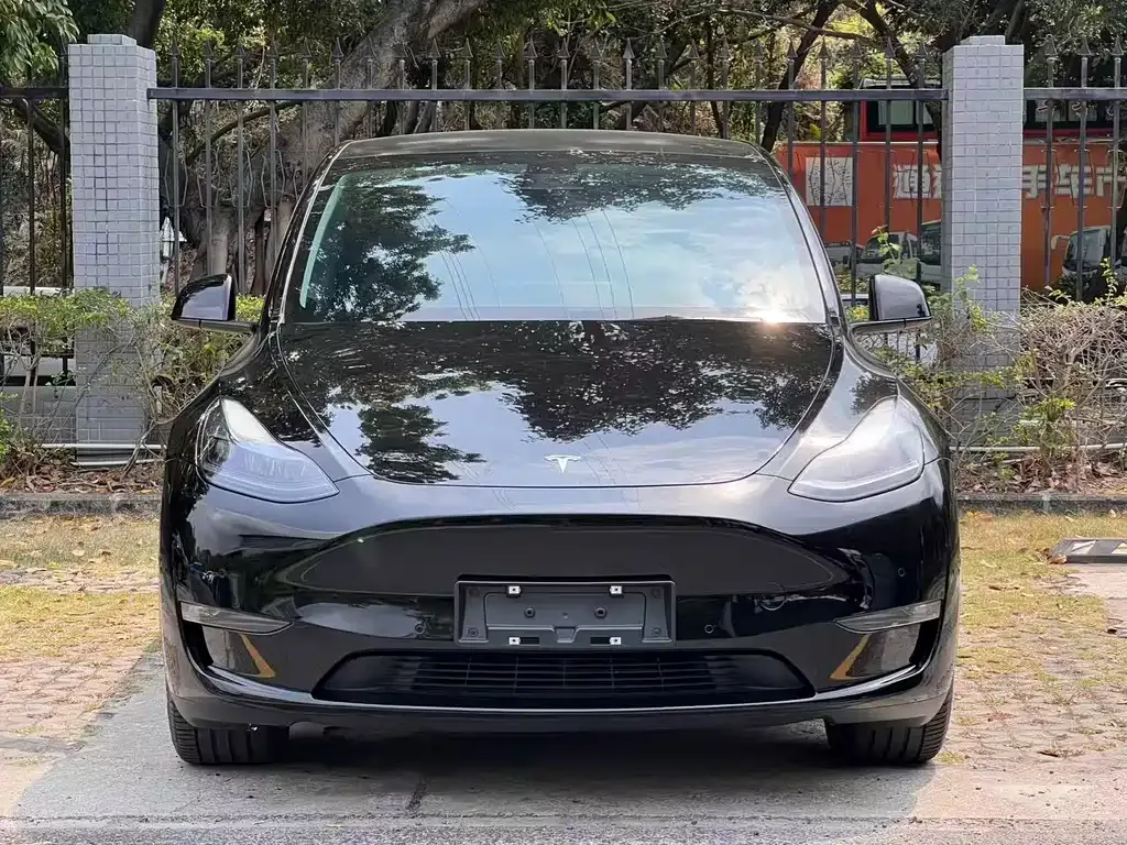 Tesla Model Y — фото 6