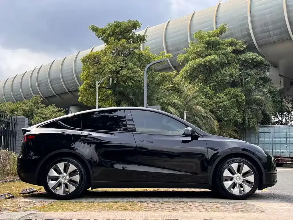Tesla Model Y — фото 9