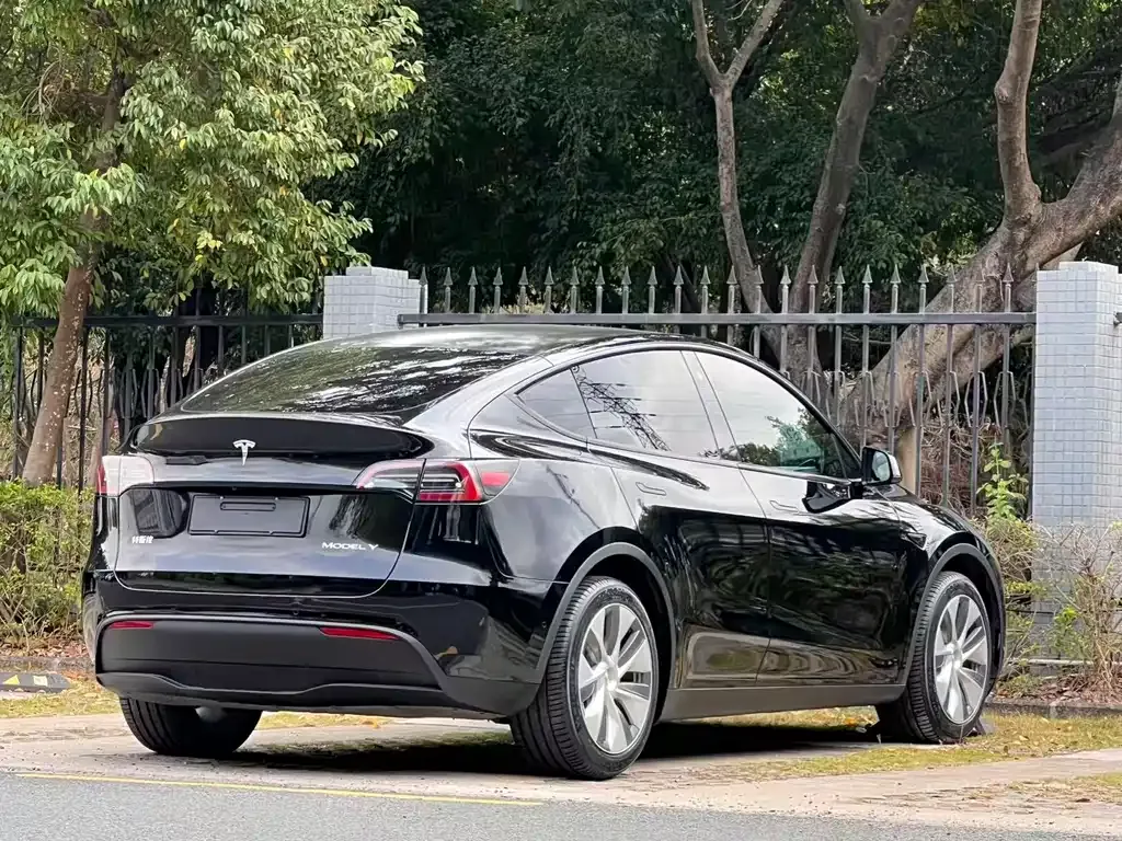 Tesla Model Y — фото 10