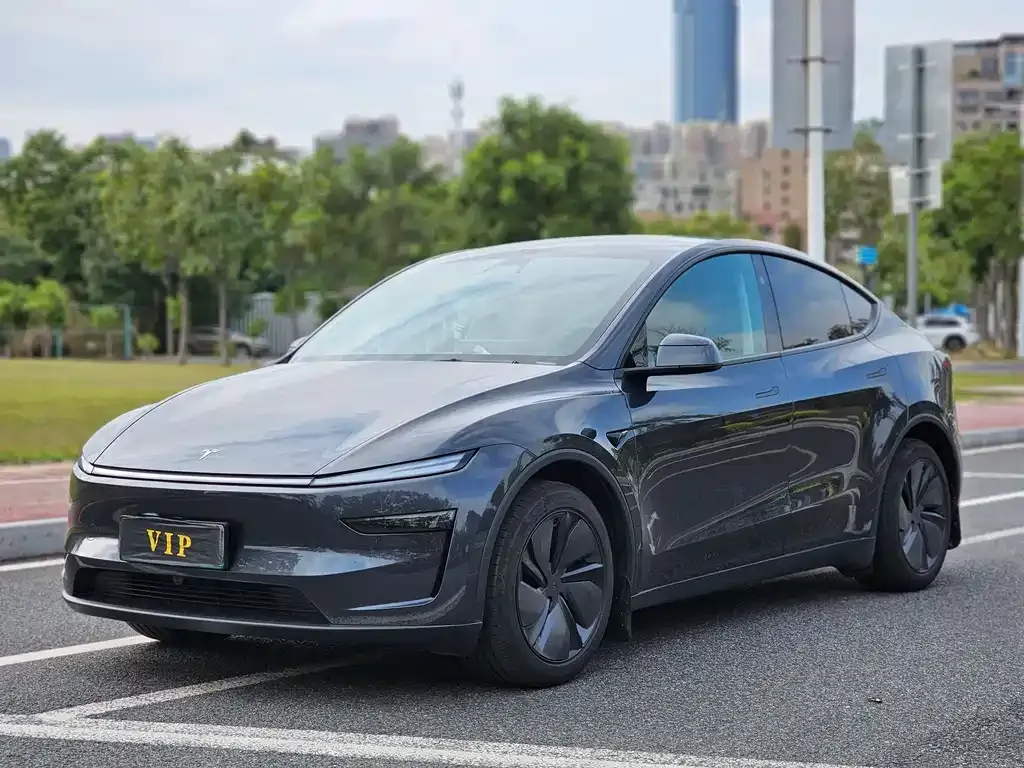 Tesla Model Y 2025 из CN, фото 1