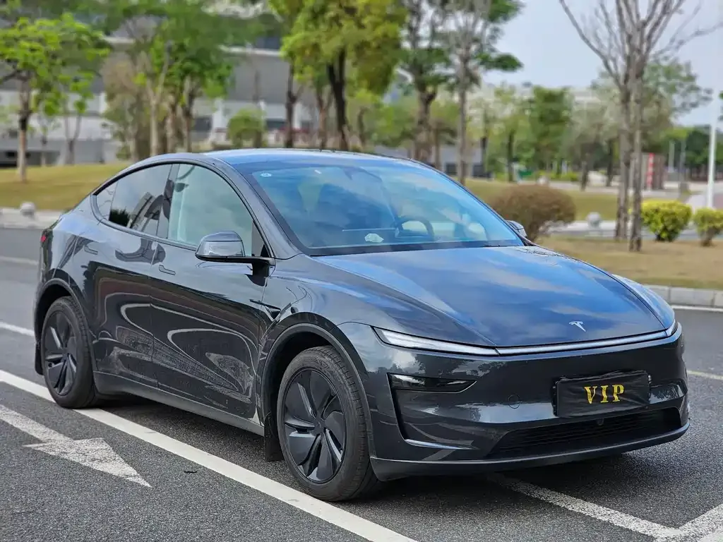 Tesla Model Y 2025 из CN, фото 2