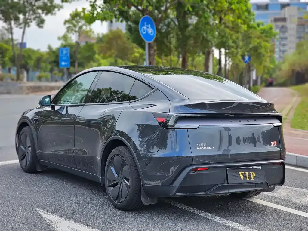 Tesla Model Y 2025 из CN, фото 9