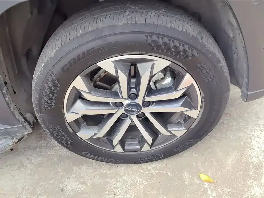 Haval H7 (Big Dog Plus) 2023 из CN, фото 8