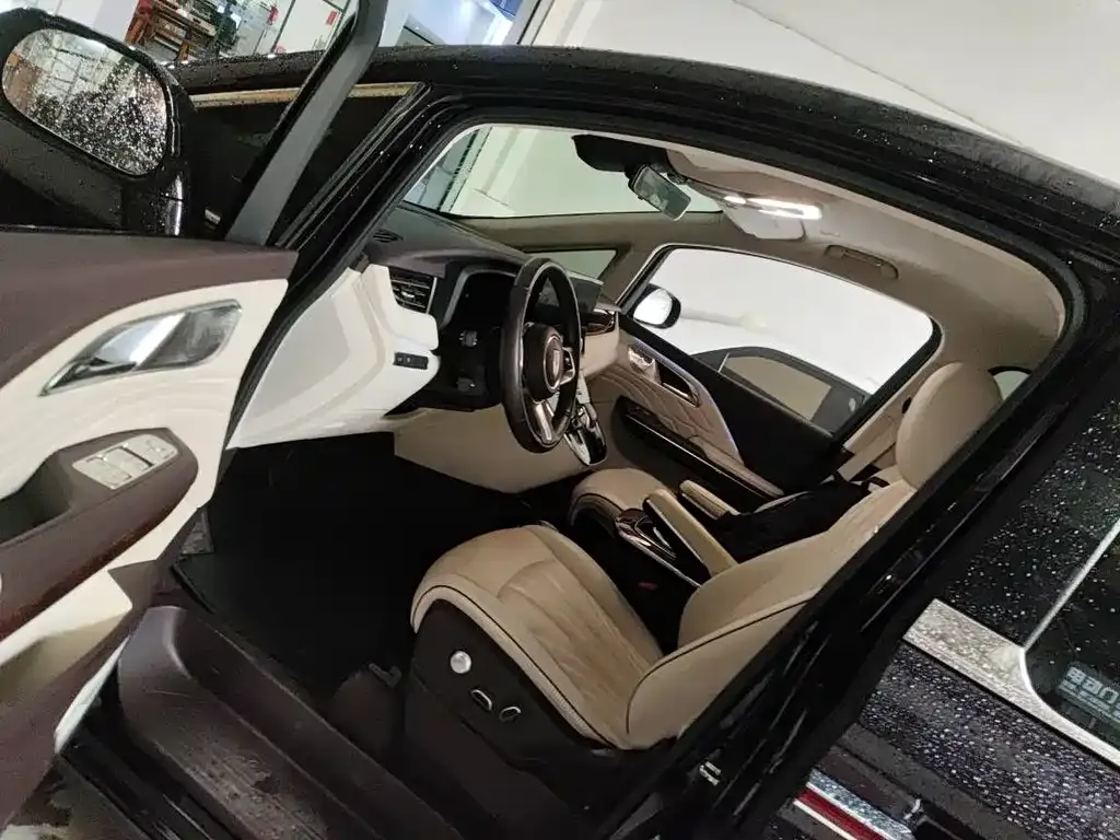 Hongqi HQ9 2023 из CN, фото 6