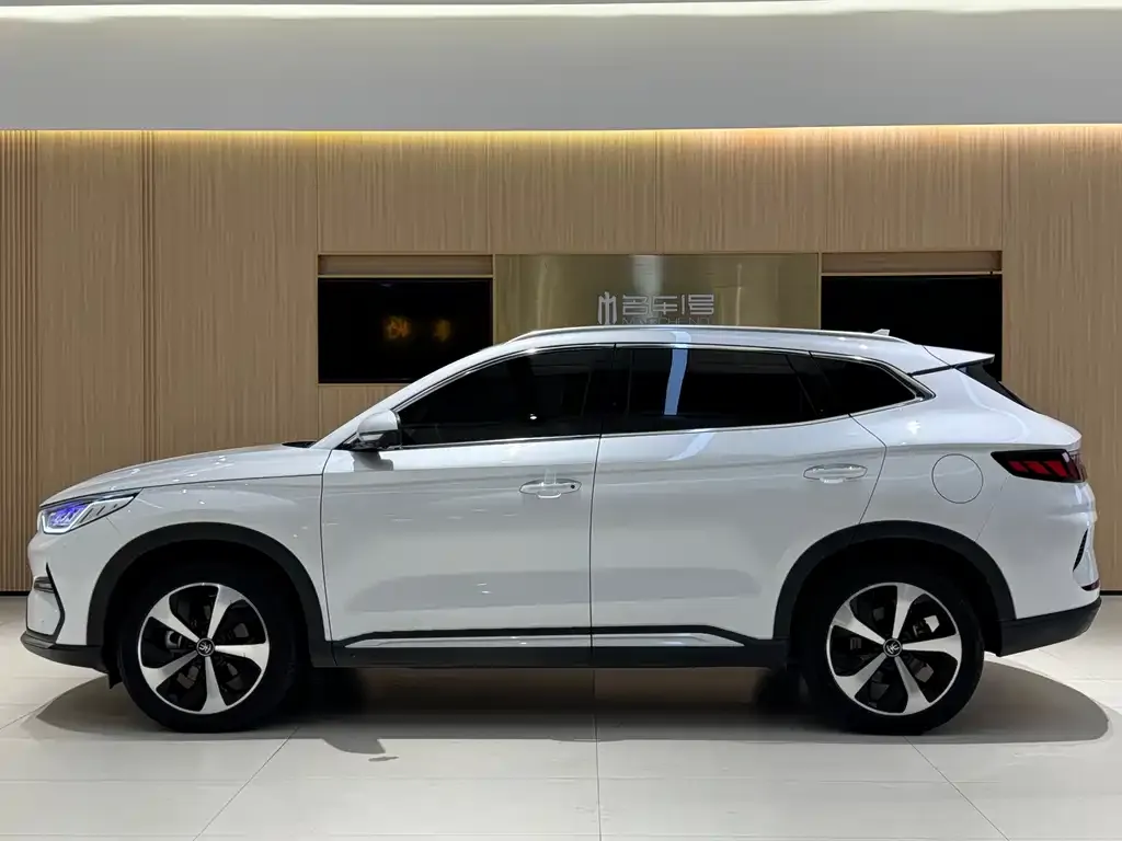 BYD PLUS New Energy — фото 2