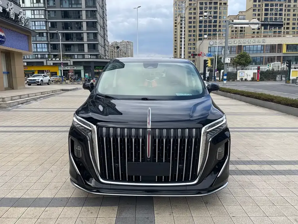 Hongqi HQ9 — фото 6