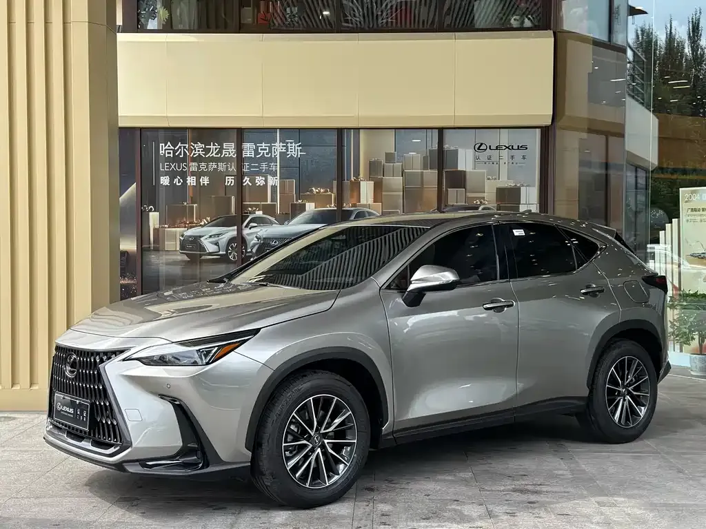 Lexus NX 2024 из CN, фото 1