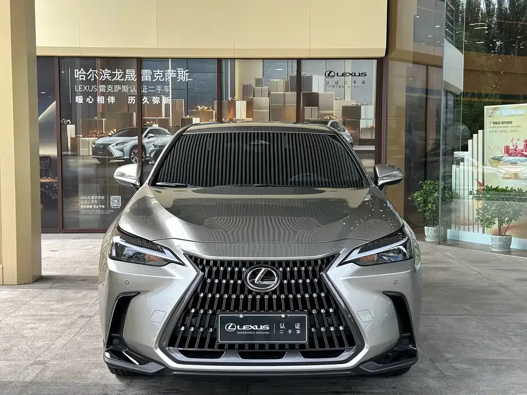 Lexus NX 2024 из CN, фото 5