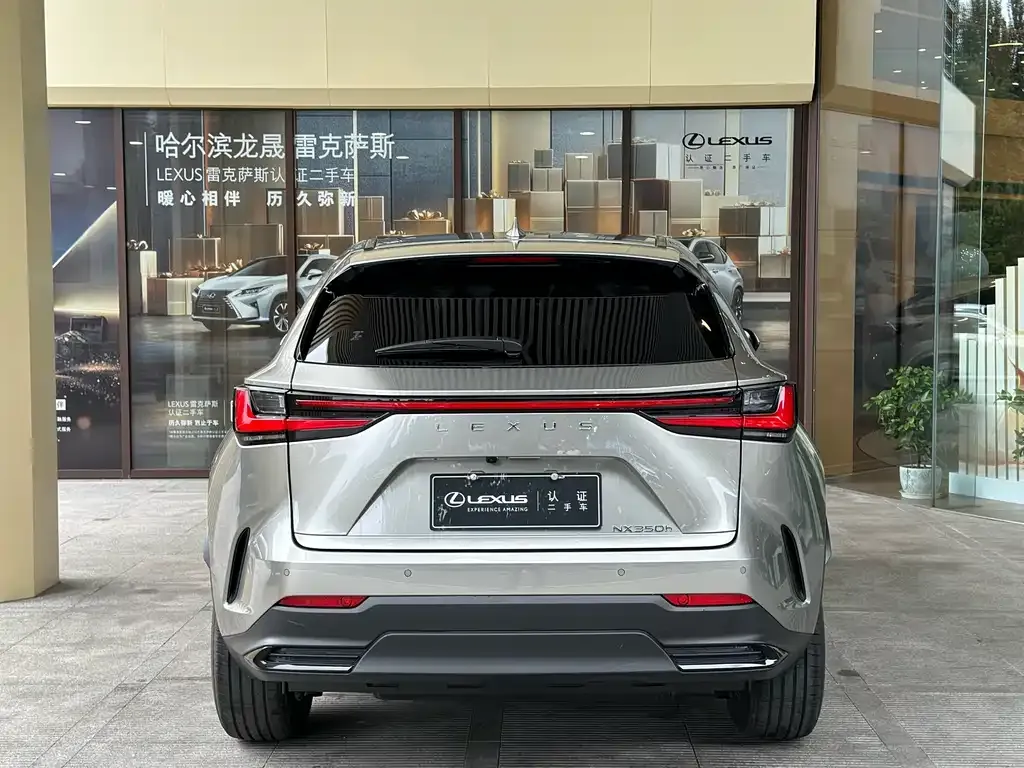 Lexus NX 2024 из CN, фото 7