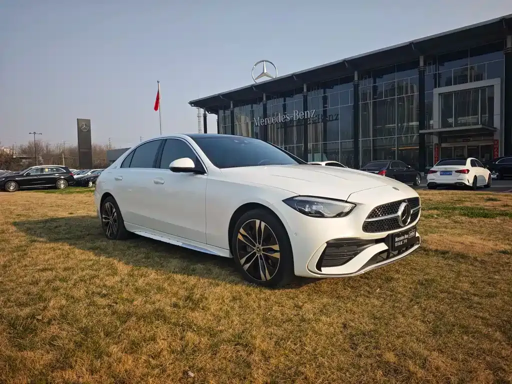 Mercedes-Benz C-Class New Energy — фото 9