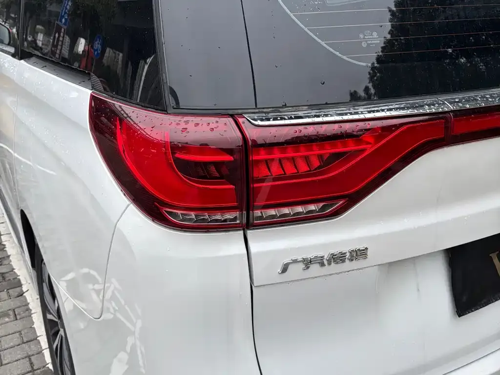 GAC Motor Trumpchi M8 — фото 10