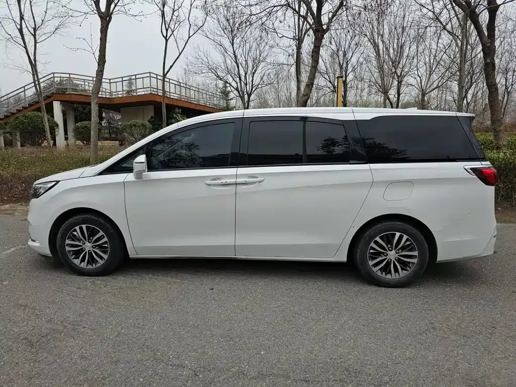 Buick GL8 2021 из CN, фото 9