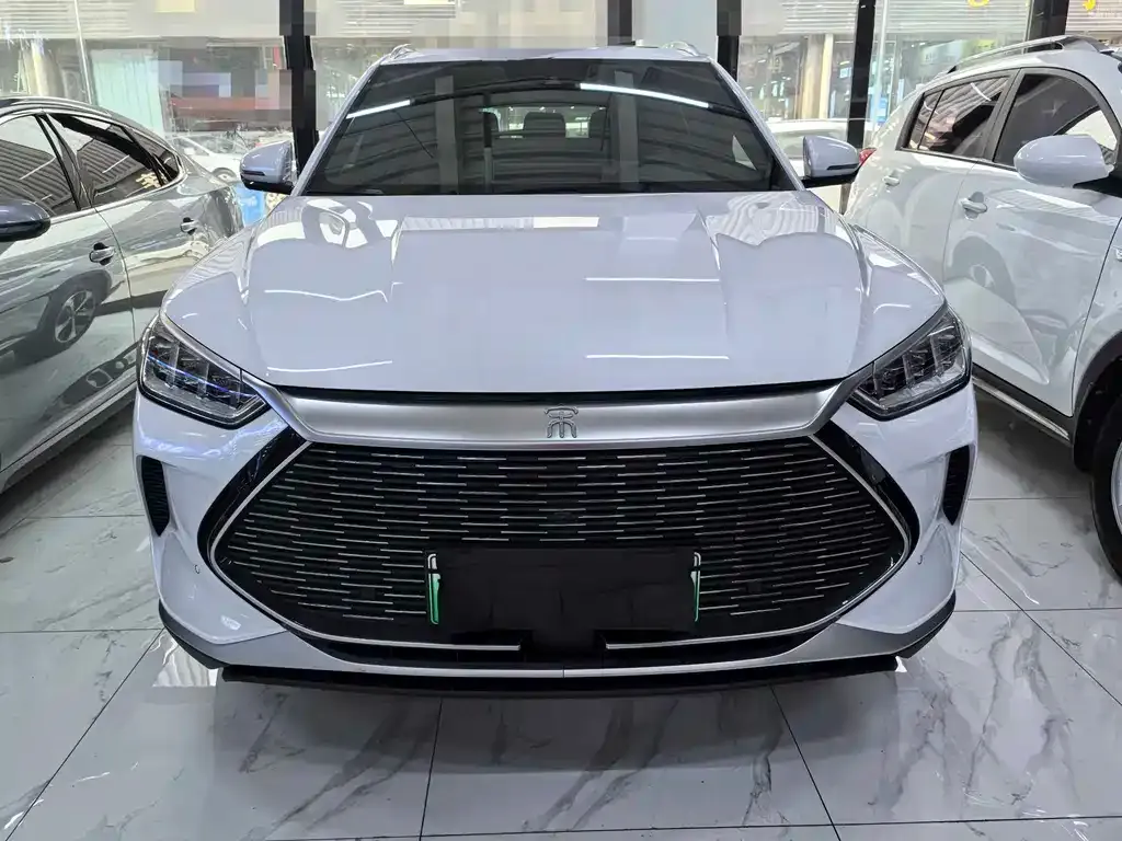 BYD PLUS New Energy — фото 10