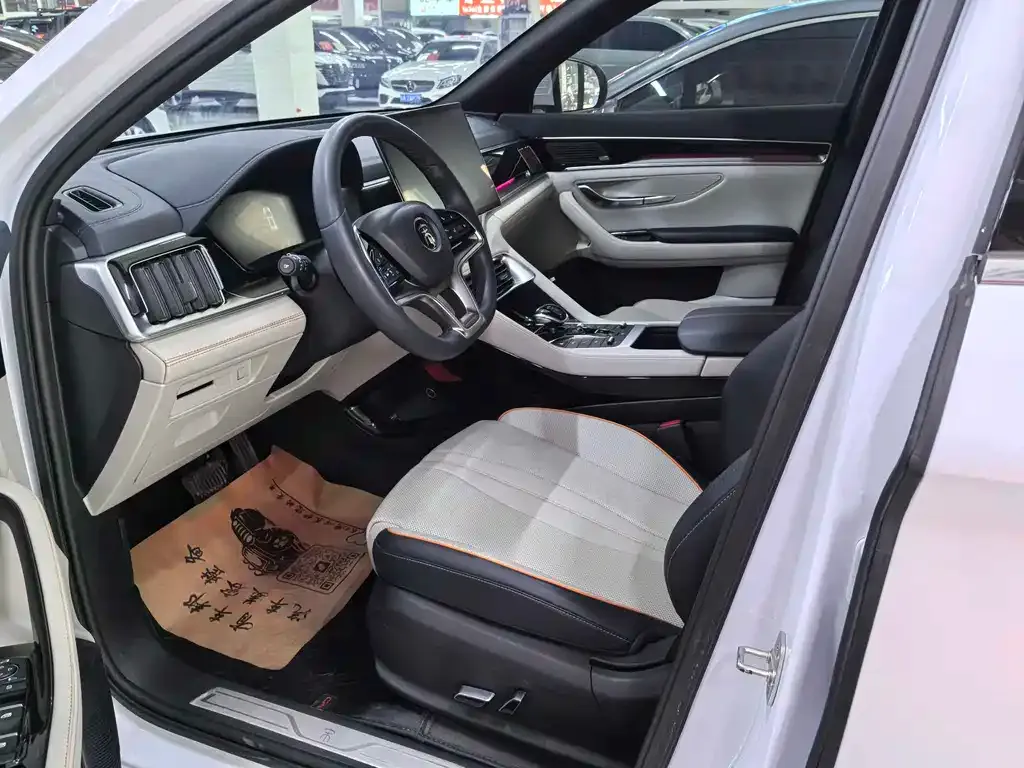 BYD PLUS New Energy — фото 4