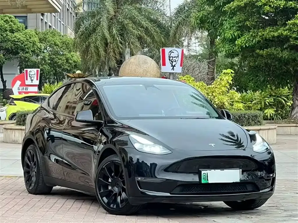 Tesla Model Y — фото 6