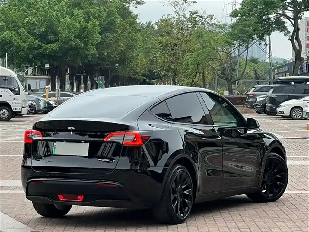 Tesla Model Y — фото 9
