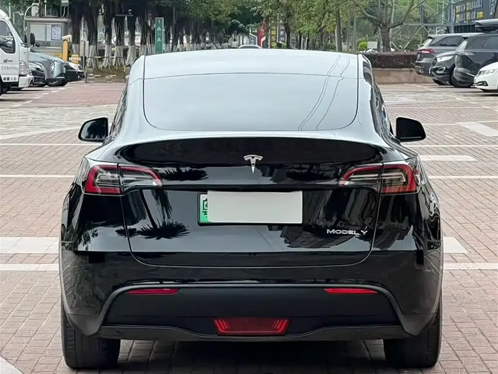 Tesla Model Y — фото 2