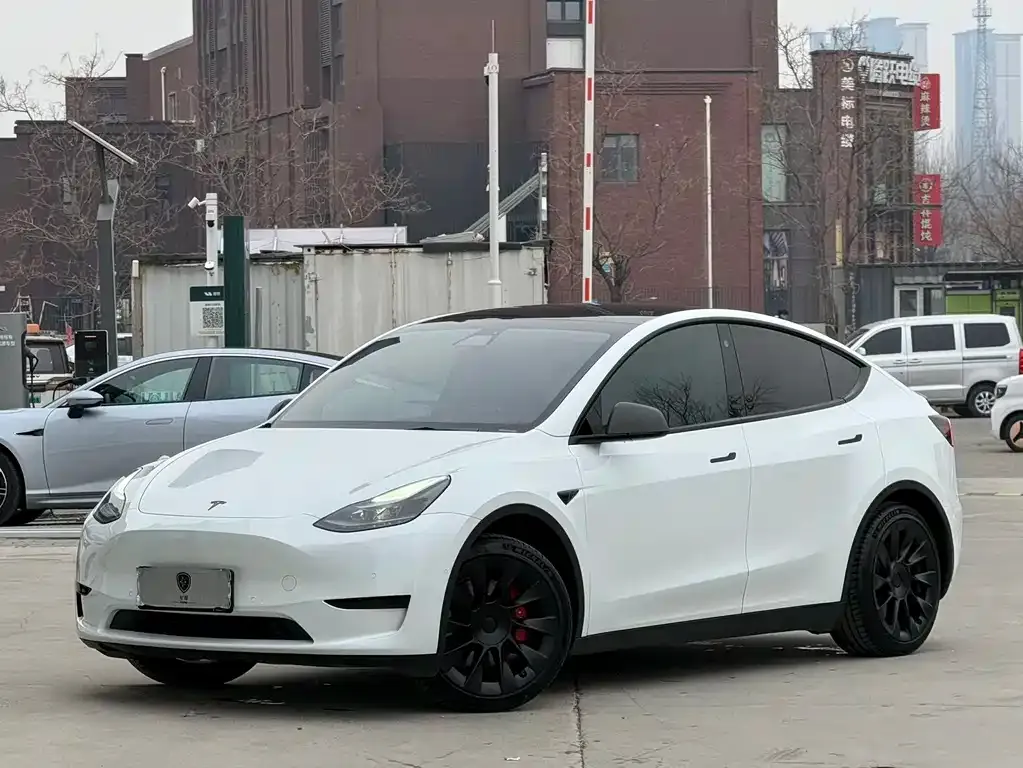 Tesla Model Y — фото 1