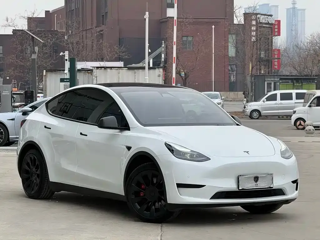 Tesla Model Y — фото 8