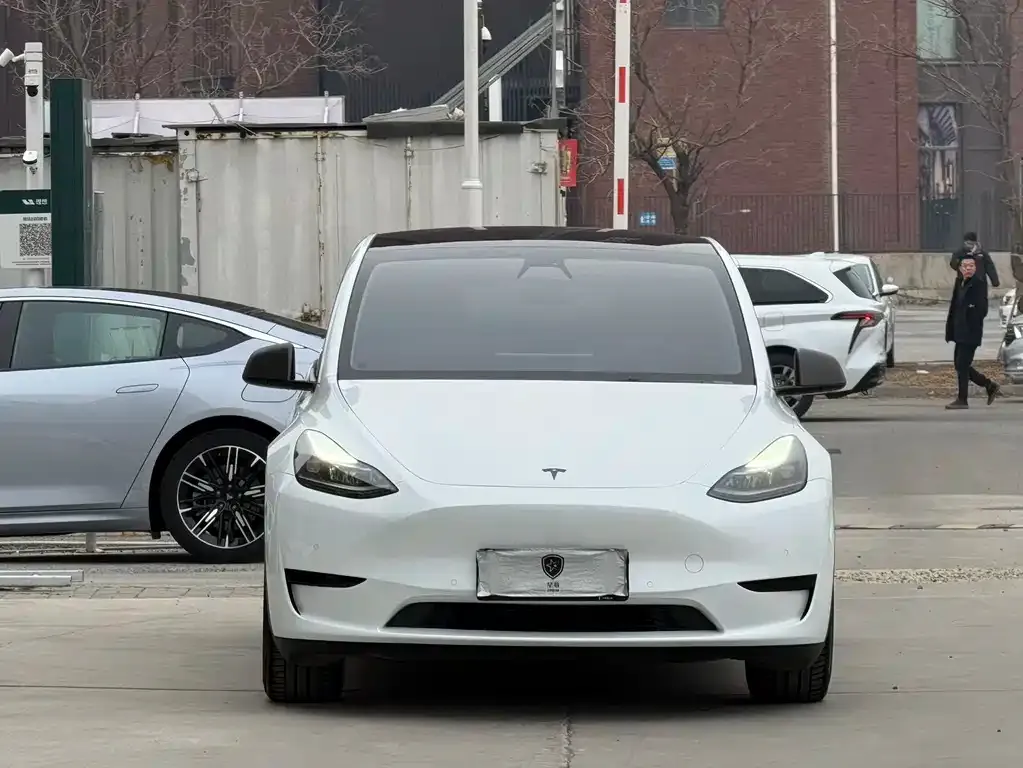 Tesla Model Y — фото 6