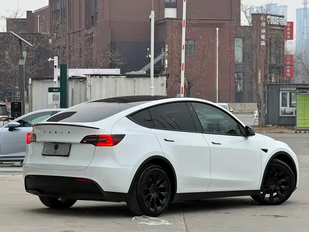 Tesla Model Y — фото 2