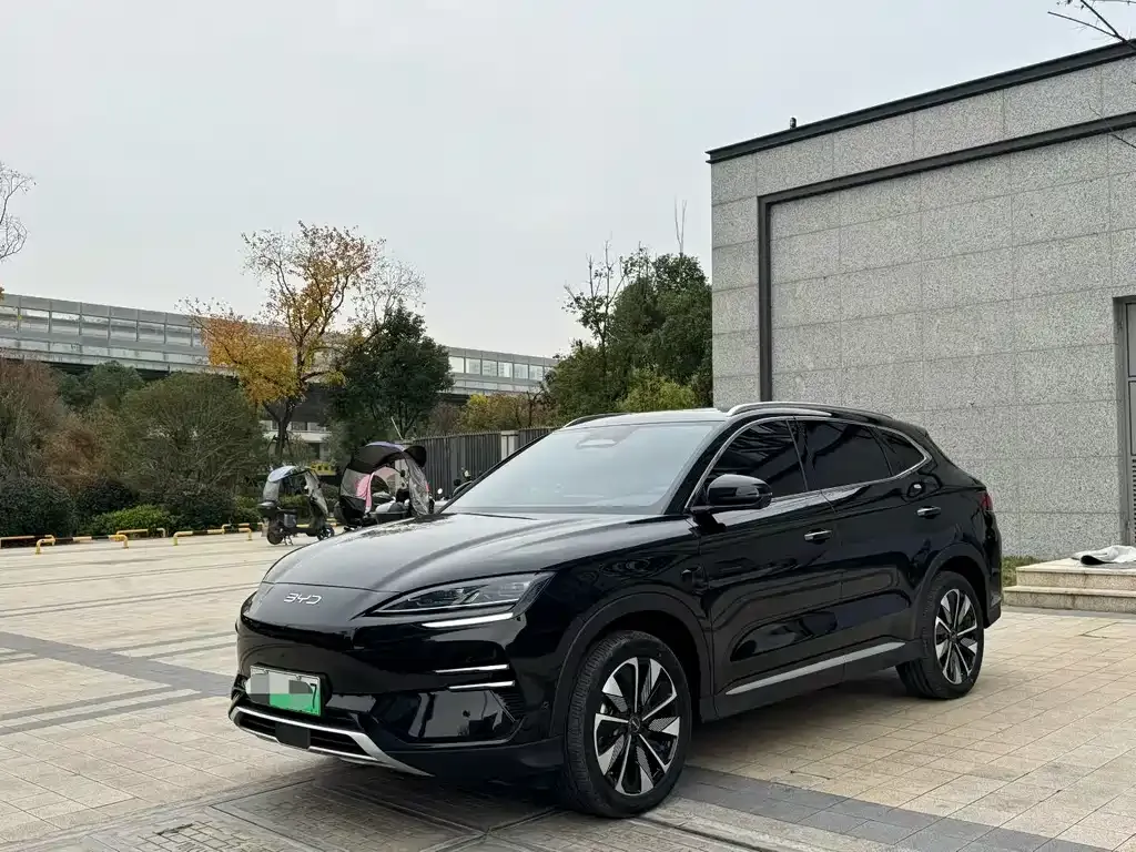 BYD PLUS New Energy — фото 1
