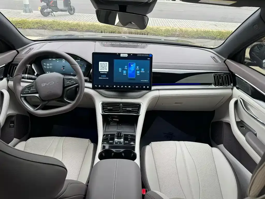 BYD PLUS New Energy — фото 2