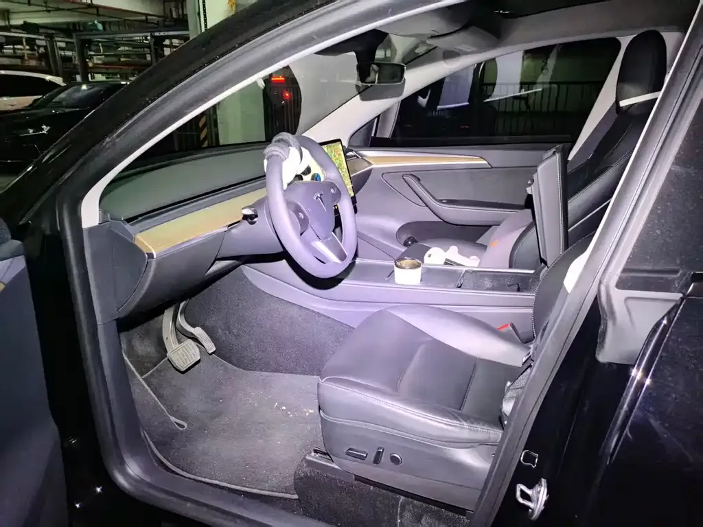 Tesla Model Y — фото 9