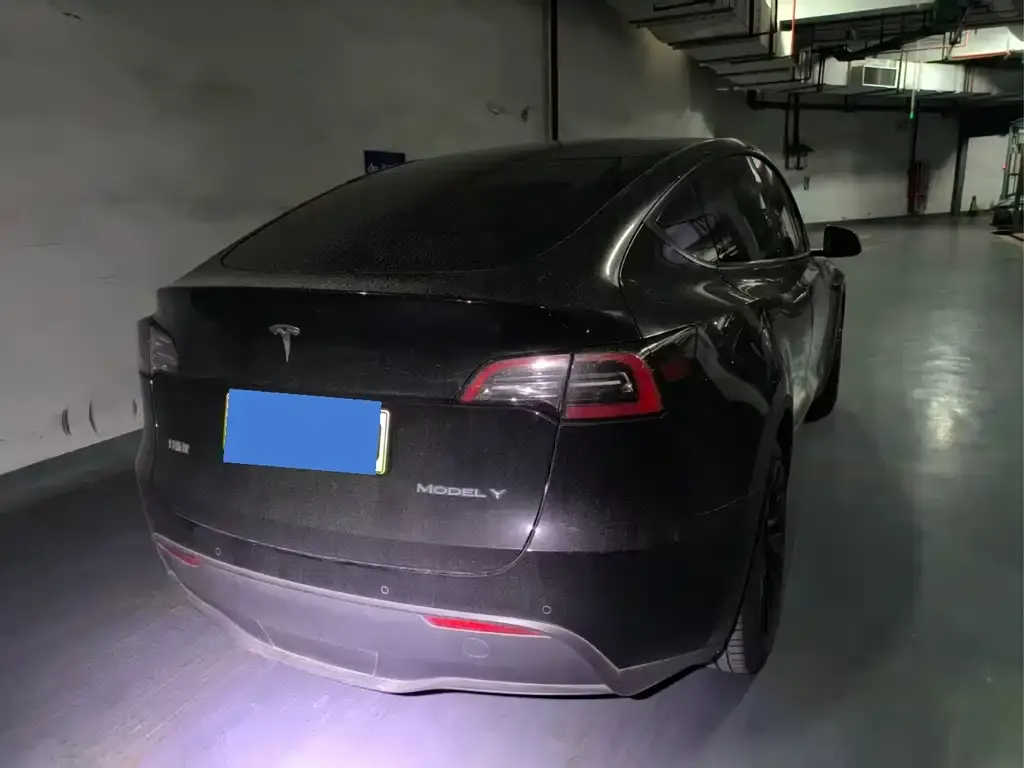 Tesla Model Y — фото 2