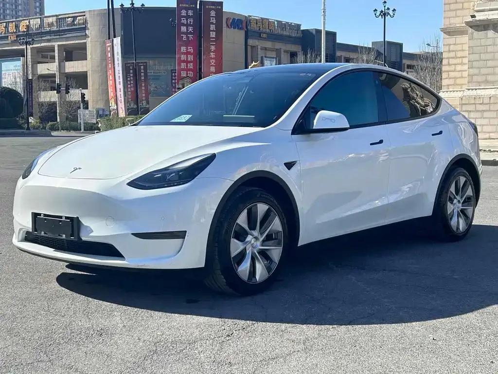Tesla Model Y 2021 из CN, фото 1