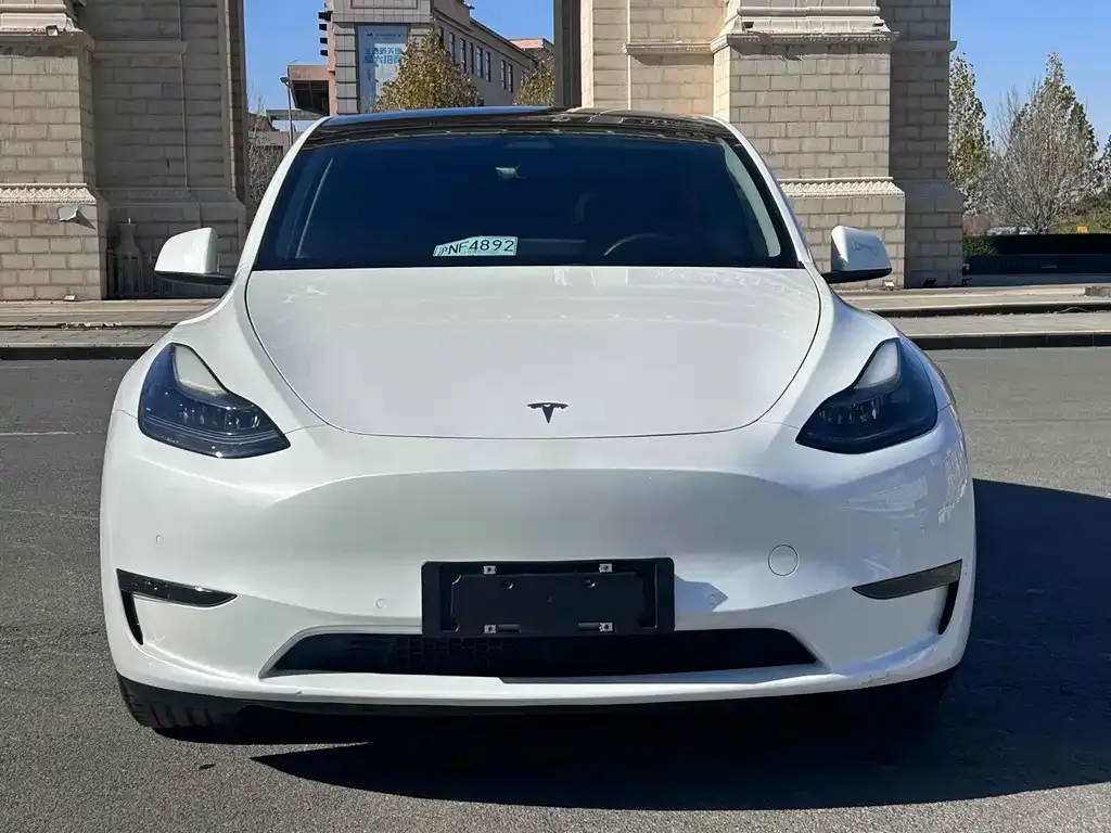 Tesla Model Y 2021 из CN, фото 4