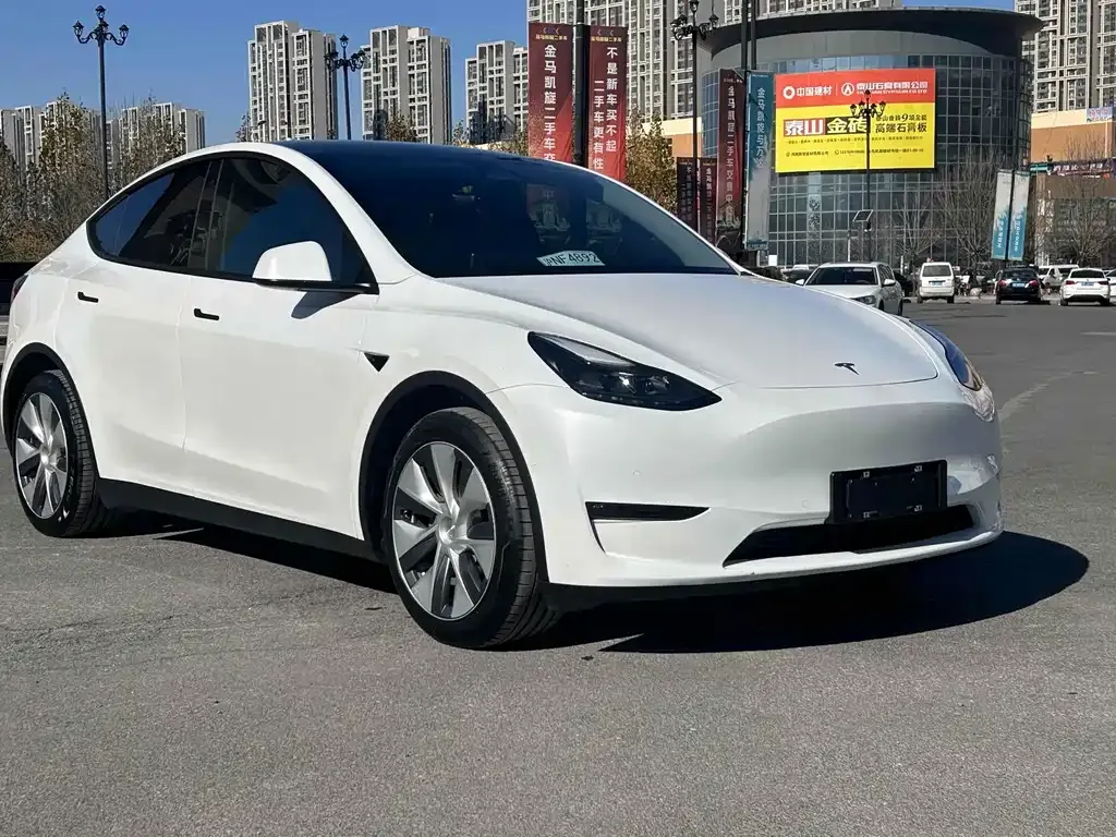 Tesla Model Y 2021 из CN, фото 8