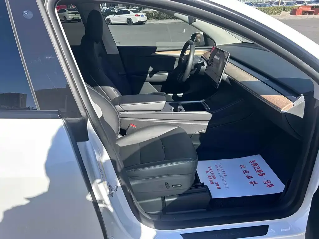 Tesla Model Y 2021 из CN, фото 5