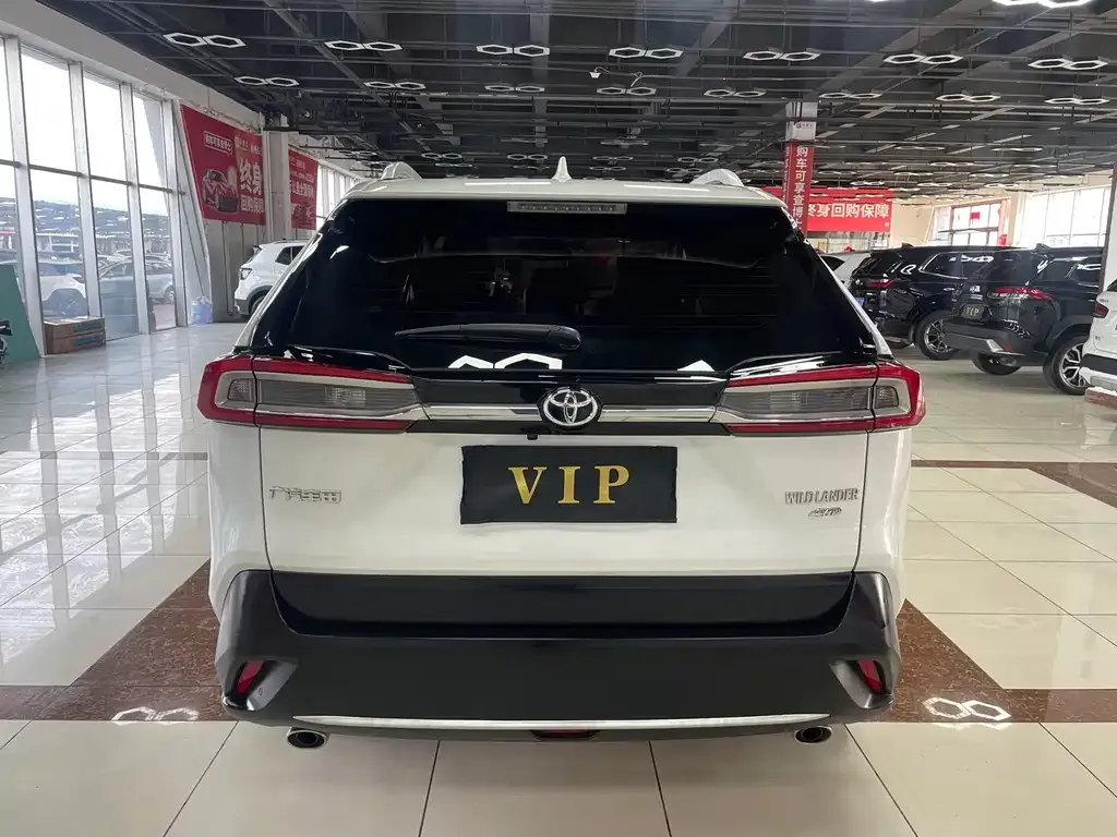 Toyota Wildlander 2023 из CN, фото 10