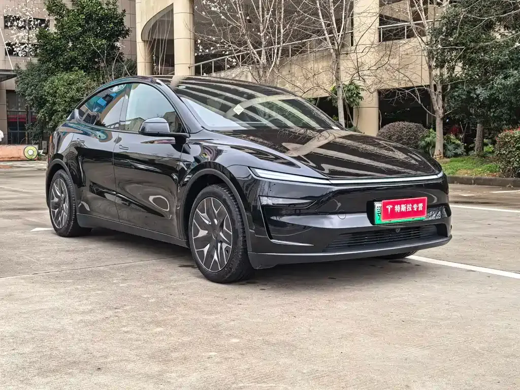 Tesla Model Y L — фото 10