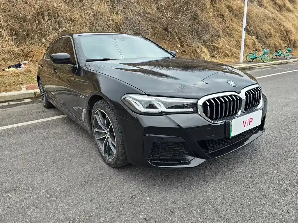 BMW 5 Series New Energy — фото 1