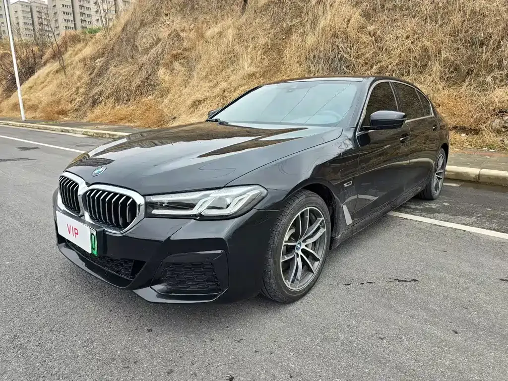 BMW 5 Series New Energy — фото 9