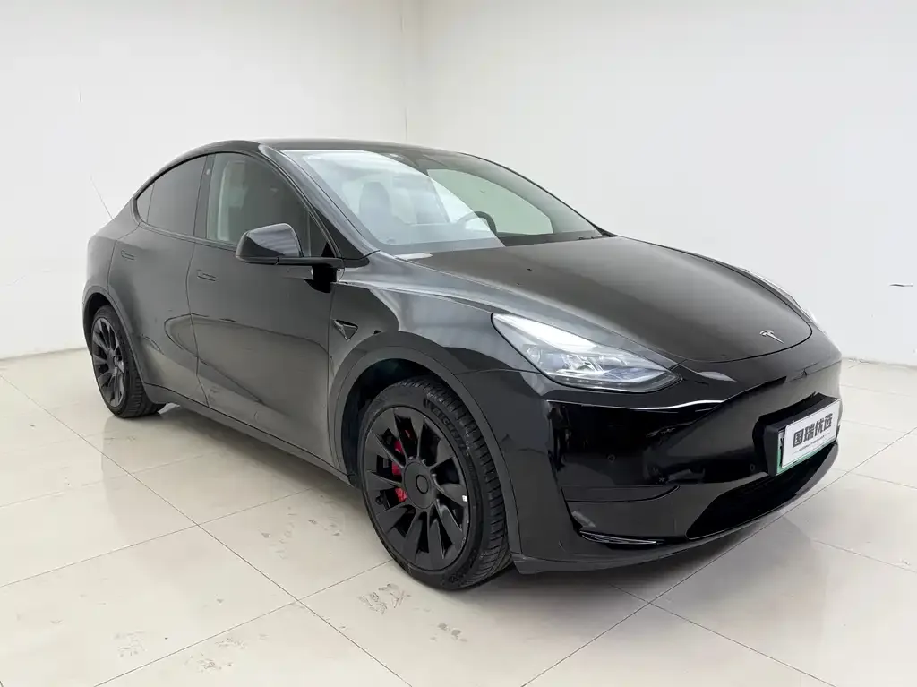 Tesla Model Y 2024 из CN, фото 9