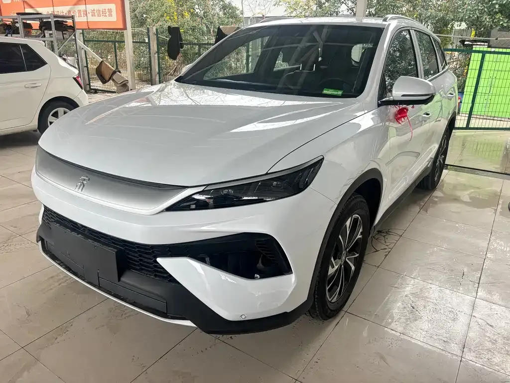 BYD Pro New Energy — фото 1